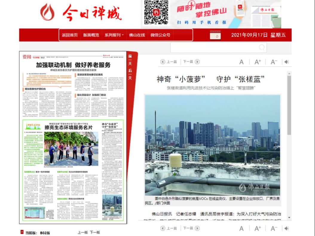 《今日禅城》：《神奇“小菠萝” 守护“张槎蓝”》